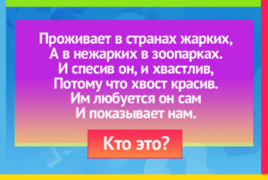 Read more about the article #играемвбиблиотеке33