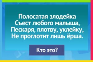 Read more about the article #играемвбиблиотеке33