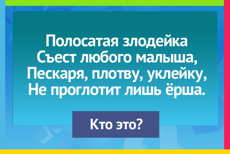 Read more about the article #играемвбиблиотеке33